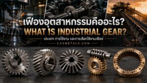 เฟืองอุตสาหกรรมหลายประเภทพร้อมตัวอย่าง Spur Gear, Helical Gear, Bevel Gear, Worm Gear และ Ring Gear สำหรับระบบส่งกำลังในเครื่องจักรอุตสาหกรรม