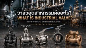 วาล์วอุตสาหกรรมหลายประเภทพร้อมตัวอย่าง Gate Valve, Globe Valve, Ball Valve, Butterfly Valve และ Check Valve สำหรับระบบท่ออุตสาหกรรม
