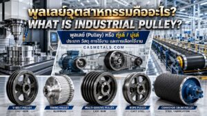 พูลเลย์อุตสาหกรรมหลายประเภท พร้อมตัวอย่าง V-Belt Pulley, Timing Pulley, Multi-Groove Pulley และ Conveyor Pulley สำหรับระบบส่งกำลังและสายพานลำเลียง