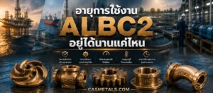 อายุการใช้งานของชิ้นงาน ALBC2